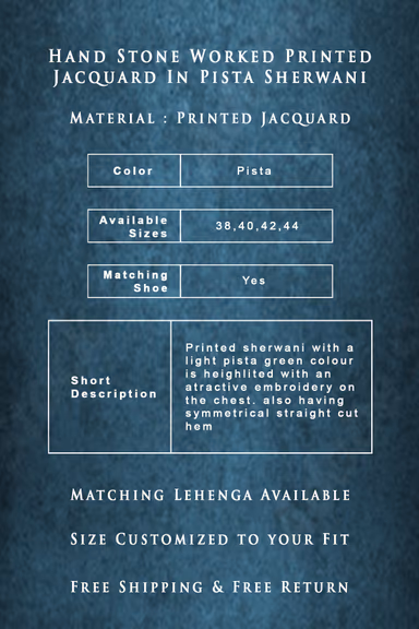 Hand Stone Worked Printed Jacquard In Pista Sherwani — view 6 of 6