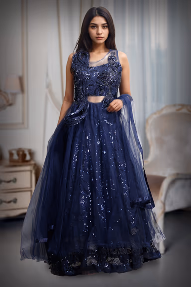 Dark Blue Net Gown With Self Textured Embellishments In Front Yoke Along With Transparent Waist Details — view 2 of 4