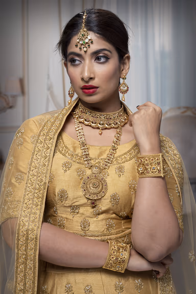 Golden Jarkan Stone Silk Lehenga — view 1 of 6