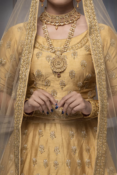 Golden Jarkan Stone Silk Lehenga — view 4 of 6