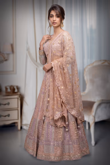 Multicolor Net Lehenga With Exquisite Threadwork And Panel Detailing Throughout The Lehenga — view 3 of 3