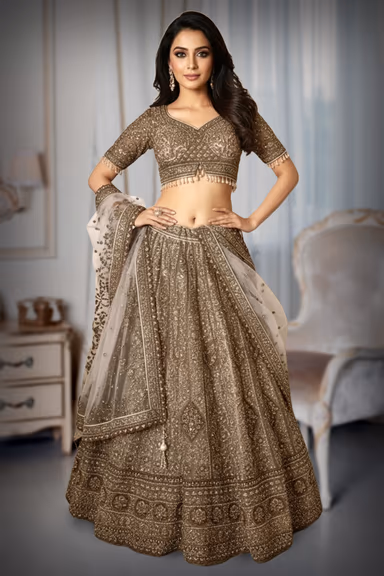 Nude Pastel Netted Ensemble with Intricate Stonework and Contrasting Border for Elegant Occasions — view 2 of 2