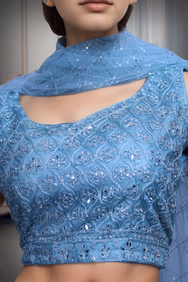 Sky Blue Minimal Net Lehenga With Threadwork Details And Same Colour Dupatta — view 4 of 4