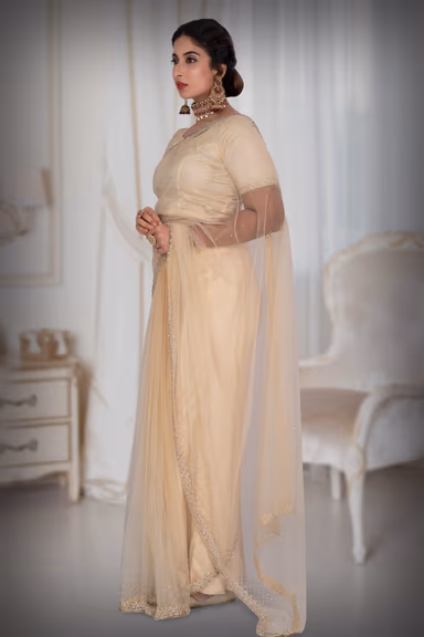 Cream  Net  Saree — view 5 of 6
