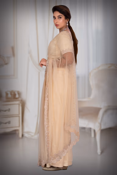 Pastel Peach  Net  Saree — view 4 of 5