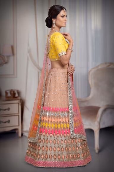 Multicolour Butterfly Net Mirror Work Lehenga — view 3 of 3