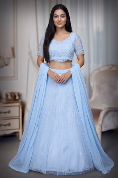 Powder Blue Net Lehenga With Threadwork And Stone Work Details — view 2 of 3