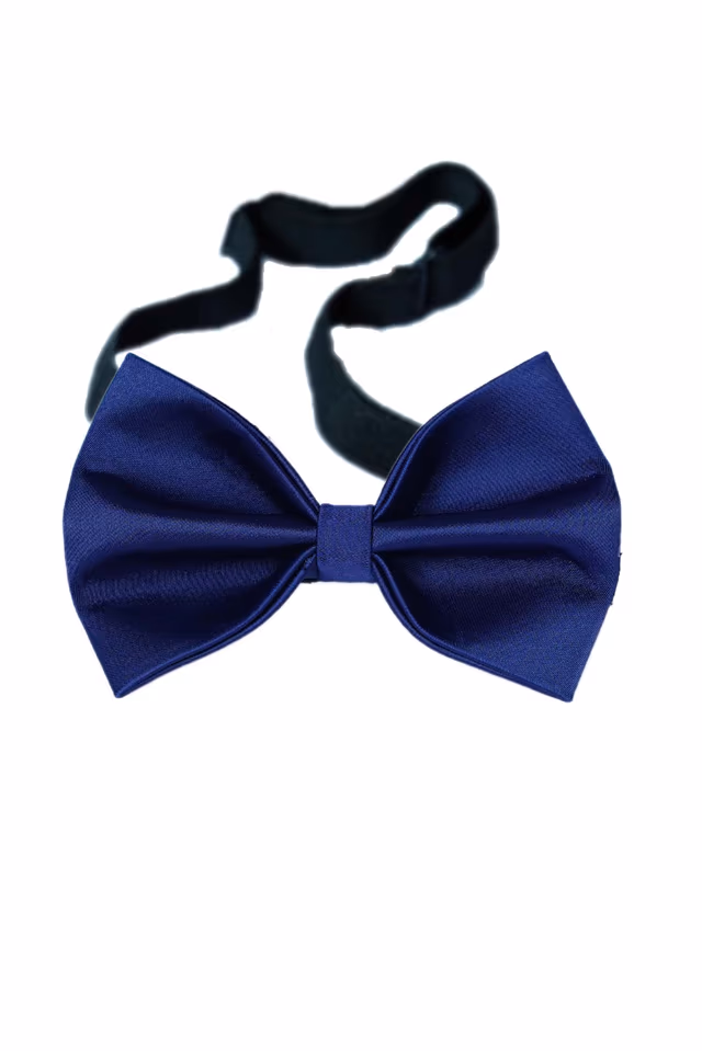 Blue Bow Tie In Satin Fabric — rent in Calicut