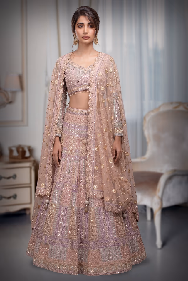 Multicolor Net Lehenga With Exquisite Threadwork And Panel Detailing Throughout The Lehenga — back view, rent in Coimbatore