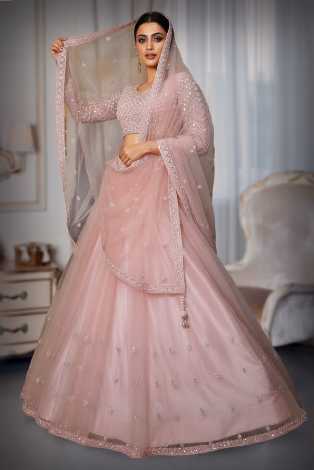 Blush Pink Net Lehenga with Zari and Crystal Embellishment — back view, rent in Kochi