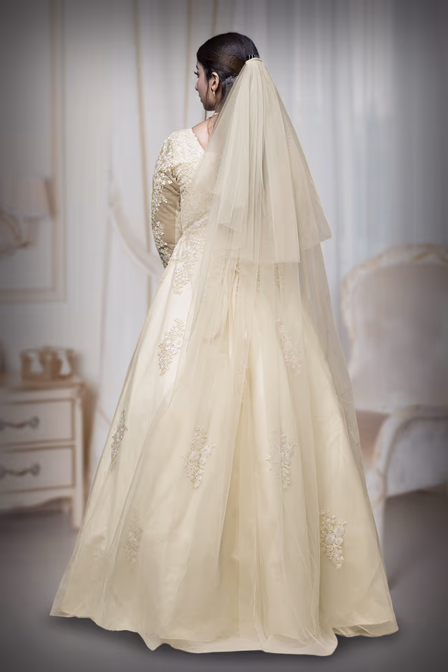 Champagne plain net veil — back view, rent in Calicut